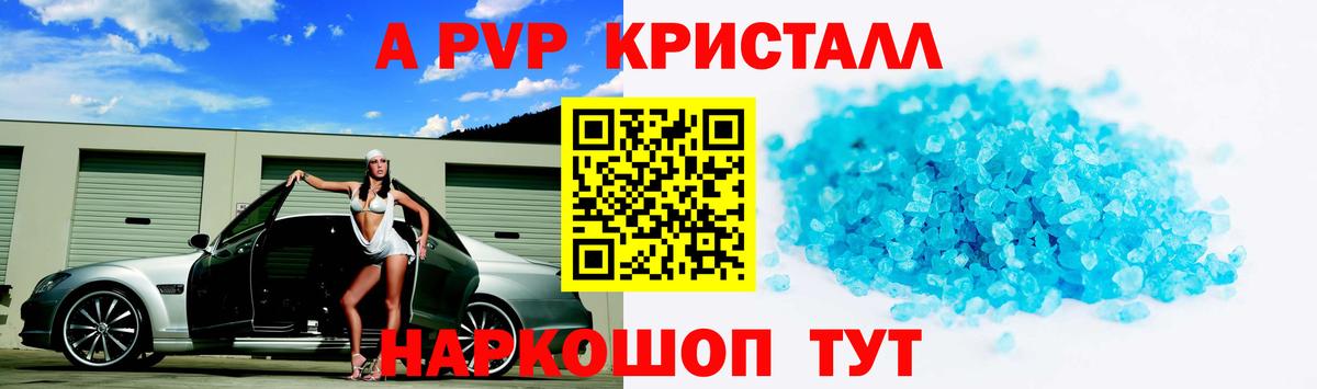 A PVP СК КРИС Петропавловск-Камчатский
